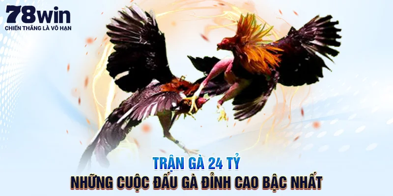 Trận Gà 24 Tỷ – Những Cuộc Đấu Gà Đỉnh Cao Bậc Nhất